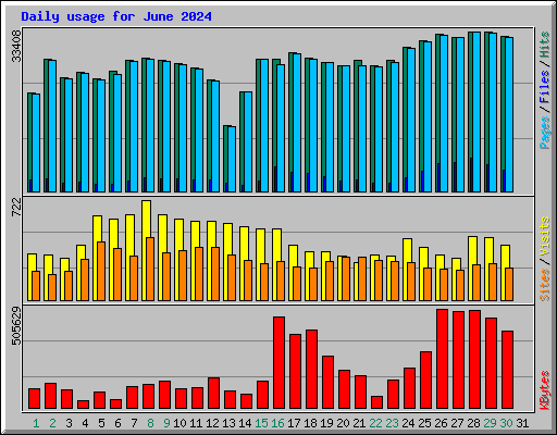 Daily usage for June 2024