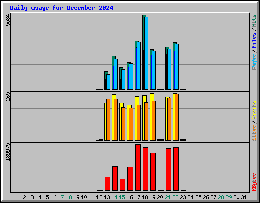 Daily usage for December 2024