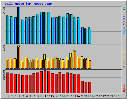 Daily usage for August 2025