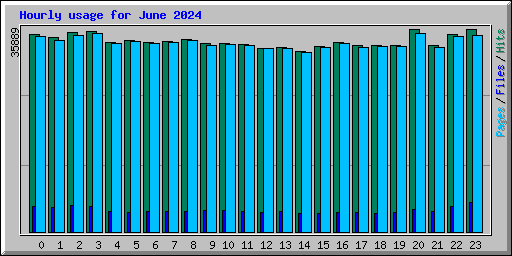 Hourly usage for June 2024