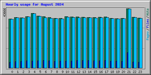 Hourly usage for August 2024