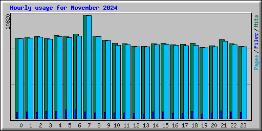 Hourly usage for November 2024