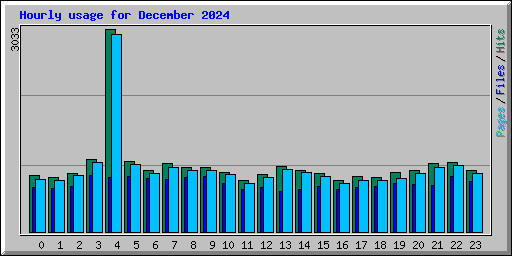 Hourly usage for December 2024