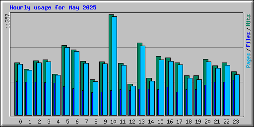 Hourly usage for May 2025