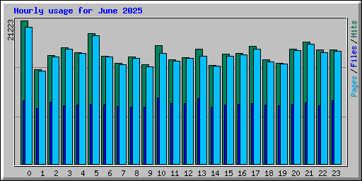 Hourly usage for June 2025