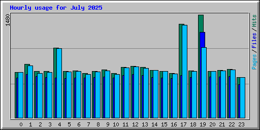 Hourly usage for July 2025