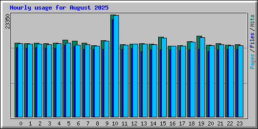 Hourly usage for August 2025