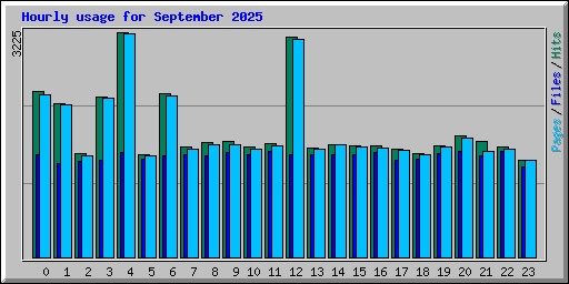 Hourly usage for September 2025