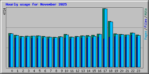 Hourly usage for November 2025