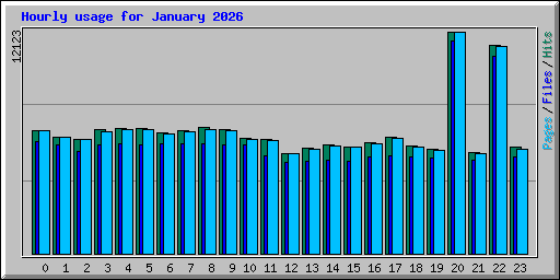Hourly usage for January 2026