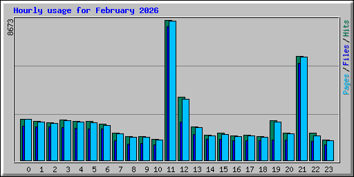 Hourly usage for February 2026