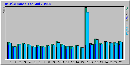Hourly usage for July 2026