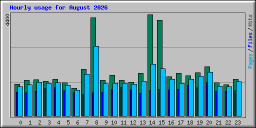 Hourly usage for August 2026